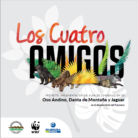 Publicaciones institucionales