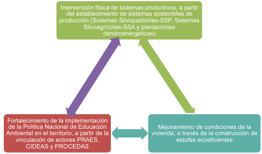 Ejecución del Proyecto