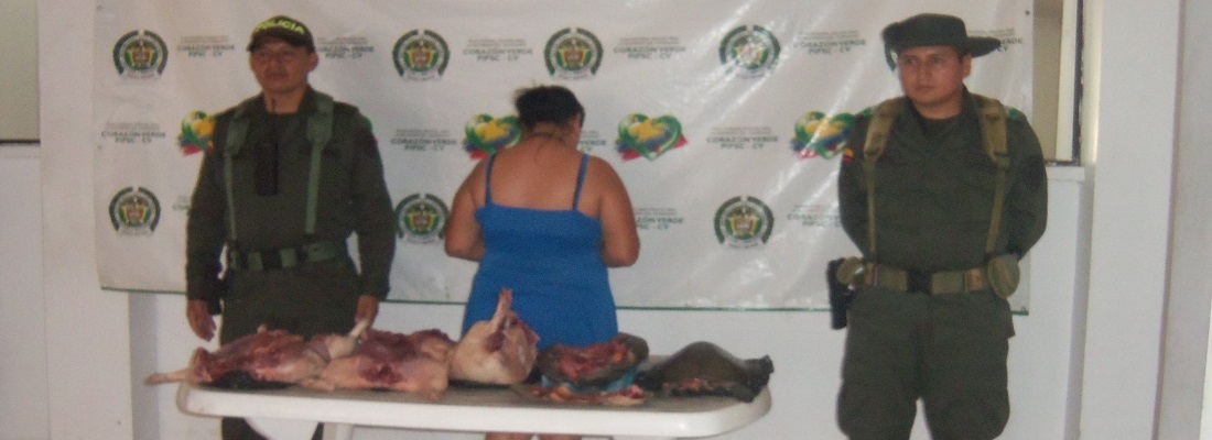 Incautación carne de Boruga y Tortuga Taricaya en Puerto Asís, Putumayo