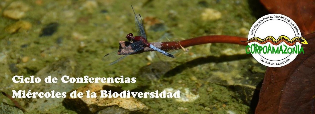 CORPOAMAZONIA invita al ciclo de conferencias “Miércoles de la Biodiversidad”