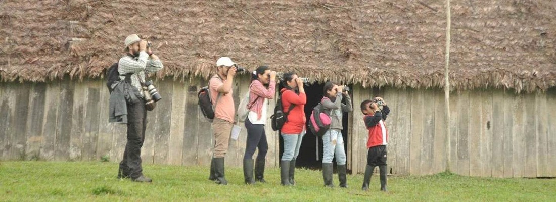 En mayo las aves son protagonistas de la celebración ambiental