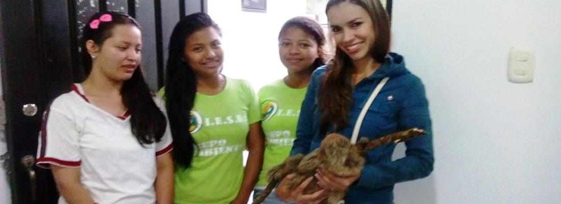 Estudiantes recuperan oso perezoso en Puerto Asís, Putumayo.