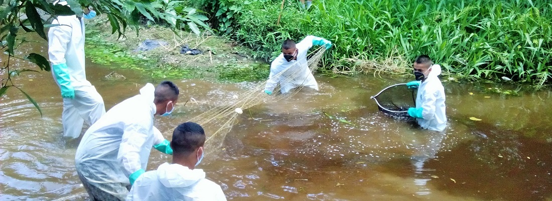 Atención emergencia ambiental en Quebradas Singuiyá, Aguanegra y San Nicolás, en Puerto Asís, Putumayo