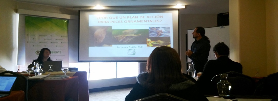 CORPOAMAZONIA participó en formulación del plan para la conservación y uso sostenible de peces ornamentales