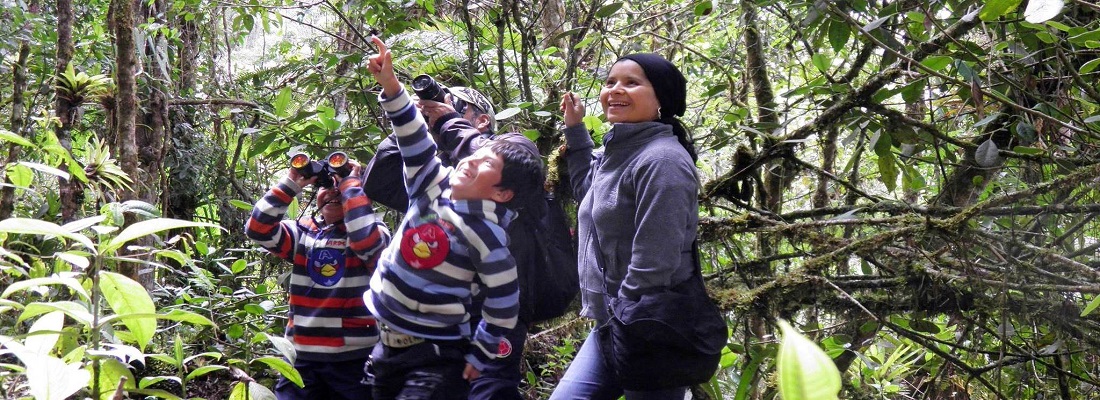 CORPOAMAZONIA invita a los pajareros a participar del Censo Navideño de Aves