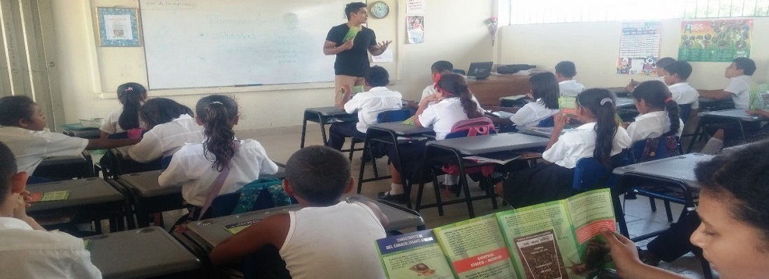 Continúan actividades de prevención y control del Caracol Gigante Africano en Putumayo