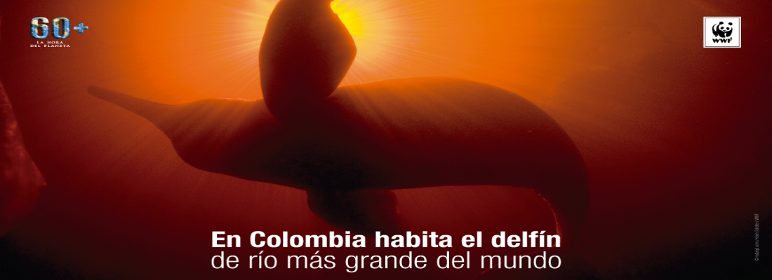 Corpoamazonia se une a la Hora del Planeta