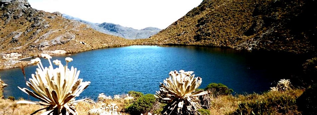 El Gobierno Nacional anuncia la delimitación de ocho nuevos páramos, hoy Día del Agua.