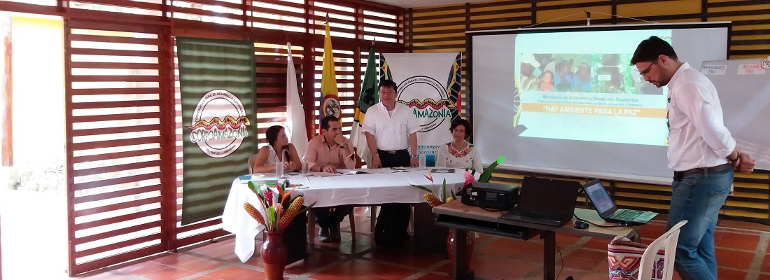 Agenda de la dirección general para la articulación de la gestión ambiental en el departamento del Amazonas