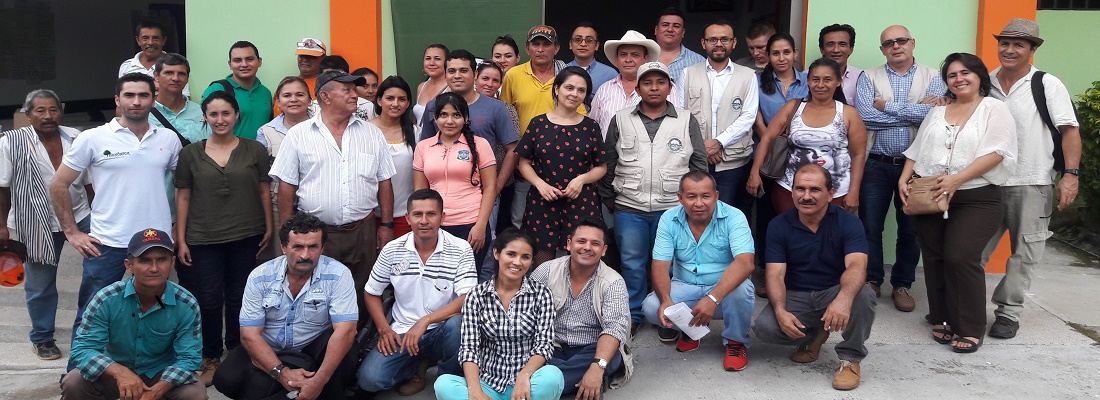 Identifican estrategias para el control y monitoreo a la deforestación en San Vicente del Caguán