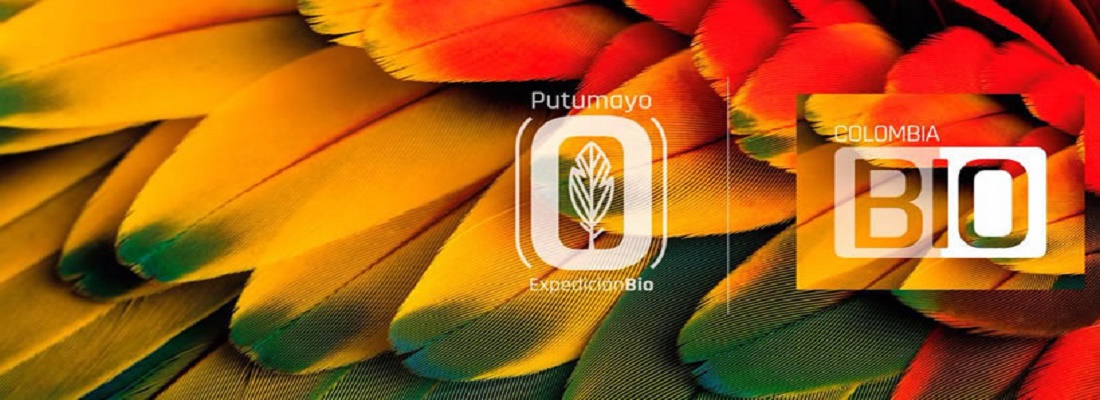 Corpoamazonia explica accionar institucional sobre Putumayo Expedición Bio que aplazó indefinidamente el Instituto Humboldt y Colciencias