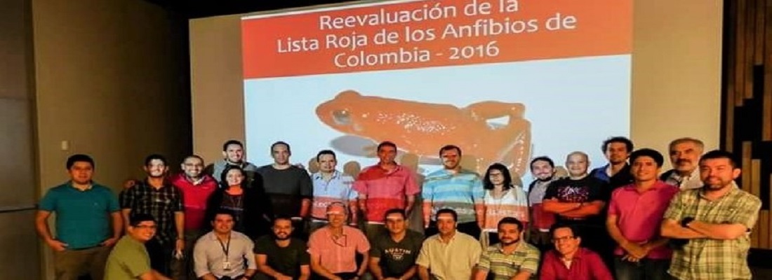 Corpoamazonia presente en Taller de Reevaluación de la Categoría de Amenaza de los Anfibios de Colombia