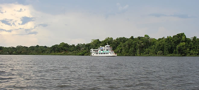 Anaconda en el corregimiento de Tarapaca