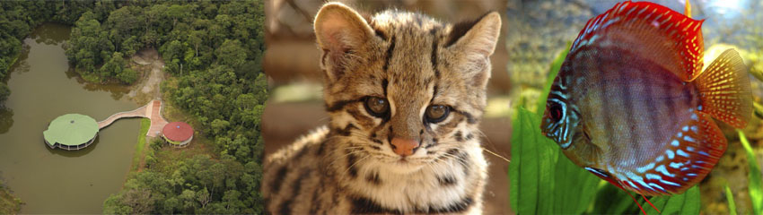 Se expide resolución de tarifas para el ingreso y otras actividades desarrolladas en el centro experimental amazónico — CEA de Corpoamazonia.