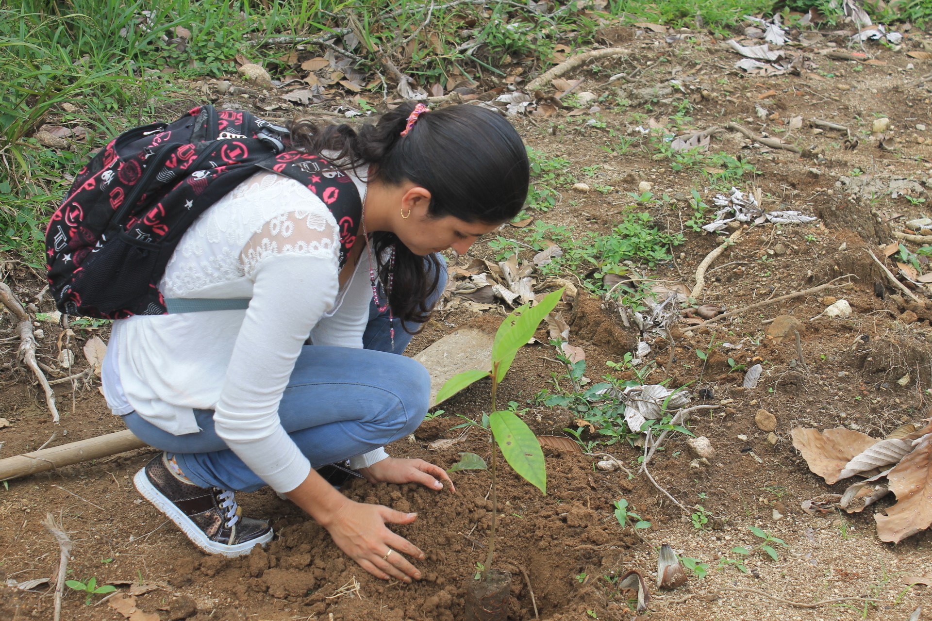 Corpoamazonia y familias en su tierra reforestan