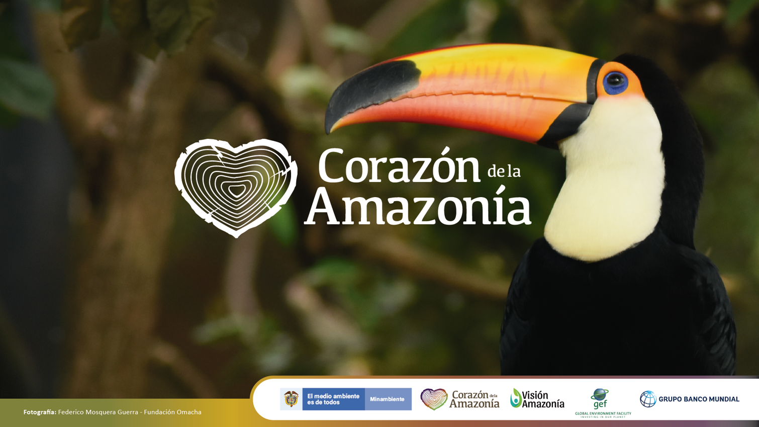 Programa Paisajes Sostenibles de la Amazonia, Iniciativa Conservación de Bosques y Sostenibilidad en el Corazón de la Amazonia, Financiamiento Adicional, financiado por el Fondo para el Medio Ambiente Mundial – GEF