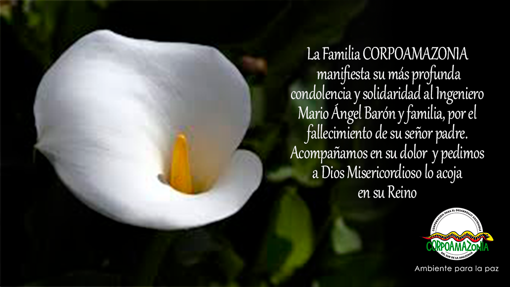 Estimado Ingeniero Mario Ángel Barón y familia