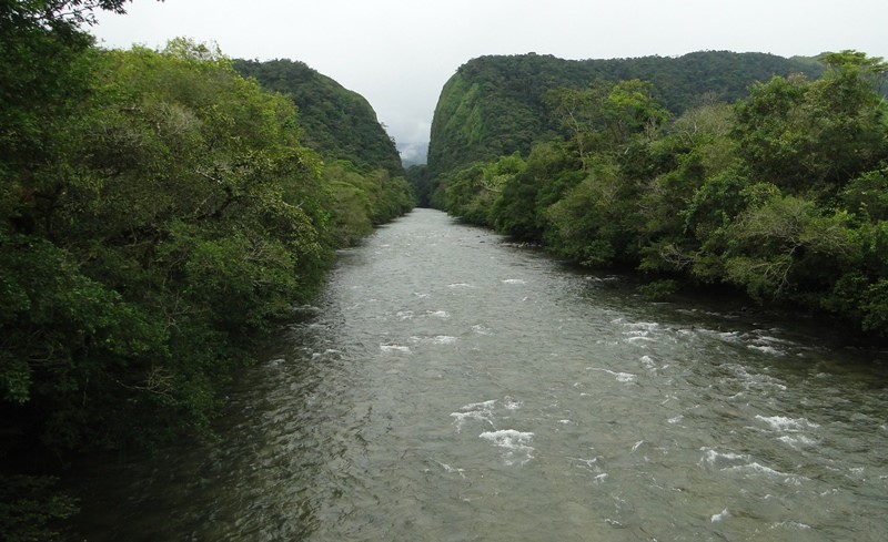 Invitación a participar en Consulta Pública del Plan de Gestión Ambiental de la Región del Sur de la Amazonia colombiana 2017 – 2037