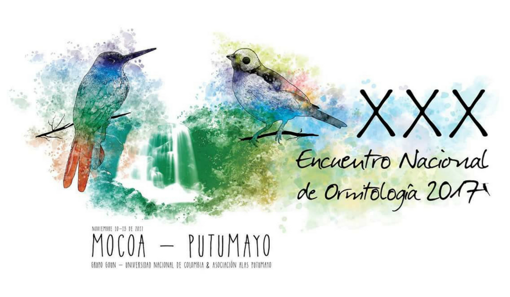 Las aves toman vuelo en el Putumayo