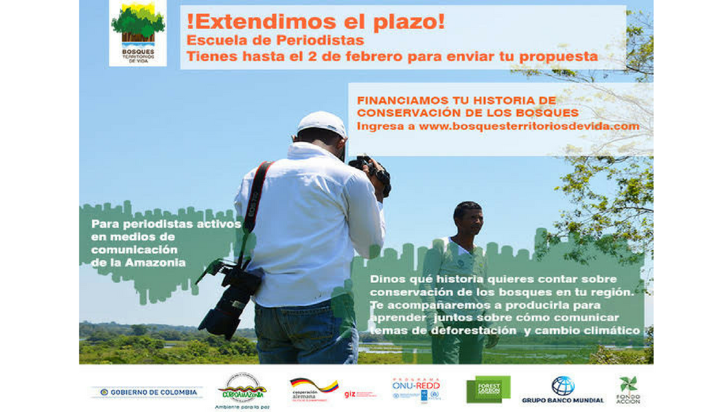 Se amplia convocatoria para periodistas de la Amazonía que quieran contar historias de la selva y el bosque