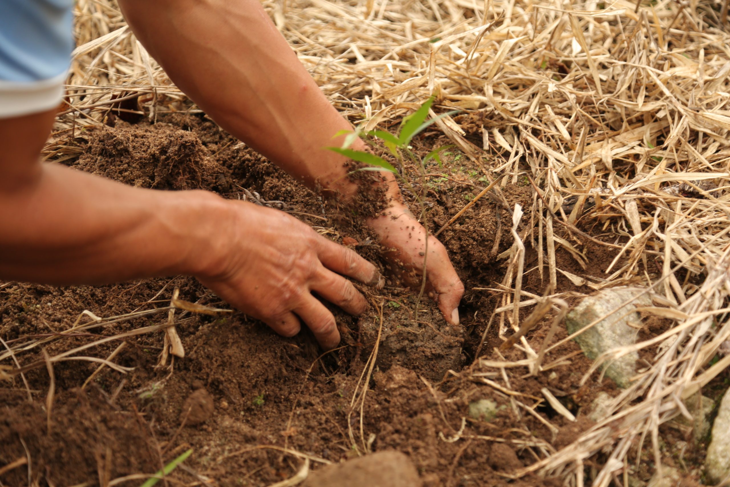 Familias de siete veredas de Mocoa firman pactos para la conservación de los bosques