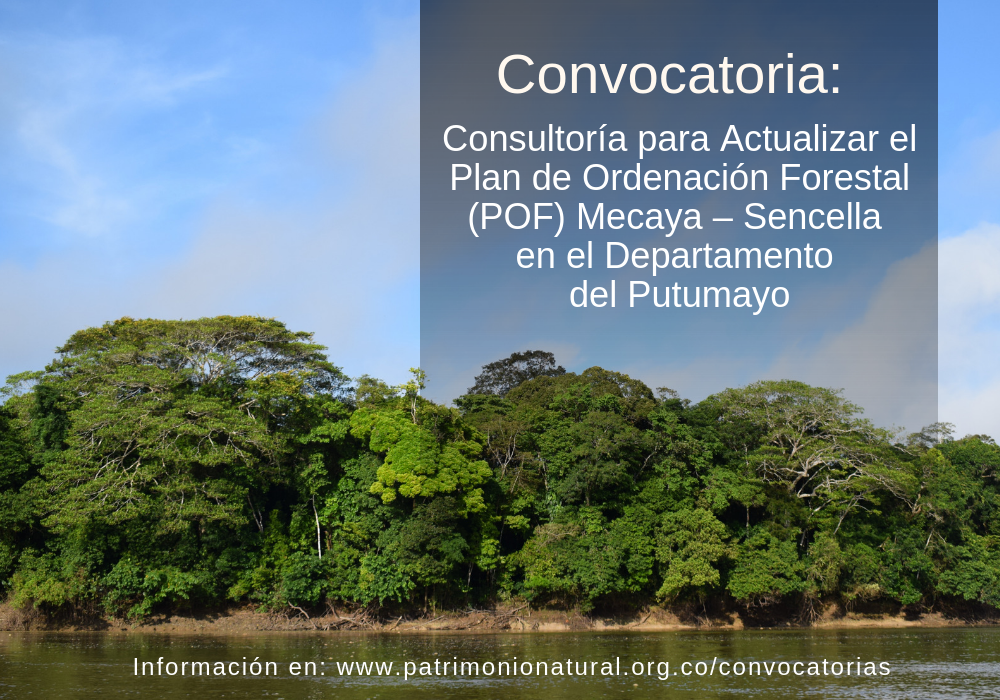 Convocatoria: Servicios de Consultoría para Actualizar el Plan de Ordenación Forestal (POF) Mecaya – Sencella en Putumayo