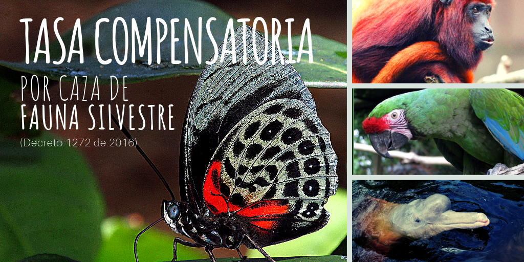 Tasa compensatoria por caza de fauna silvestre