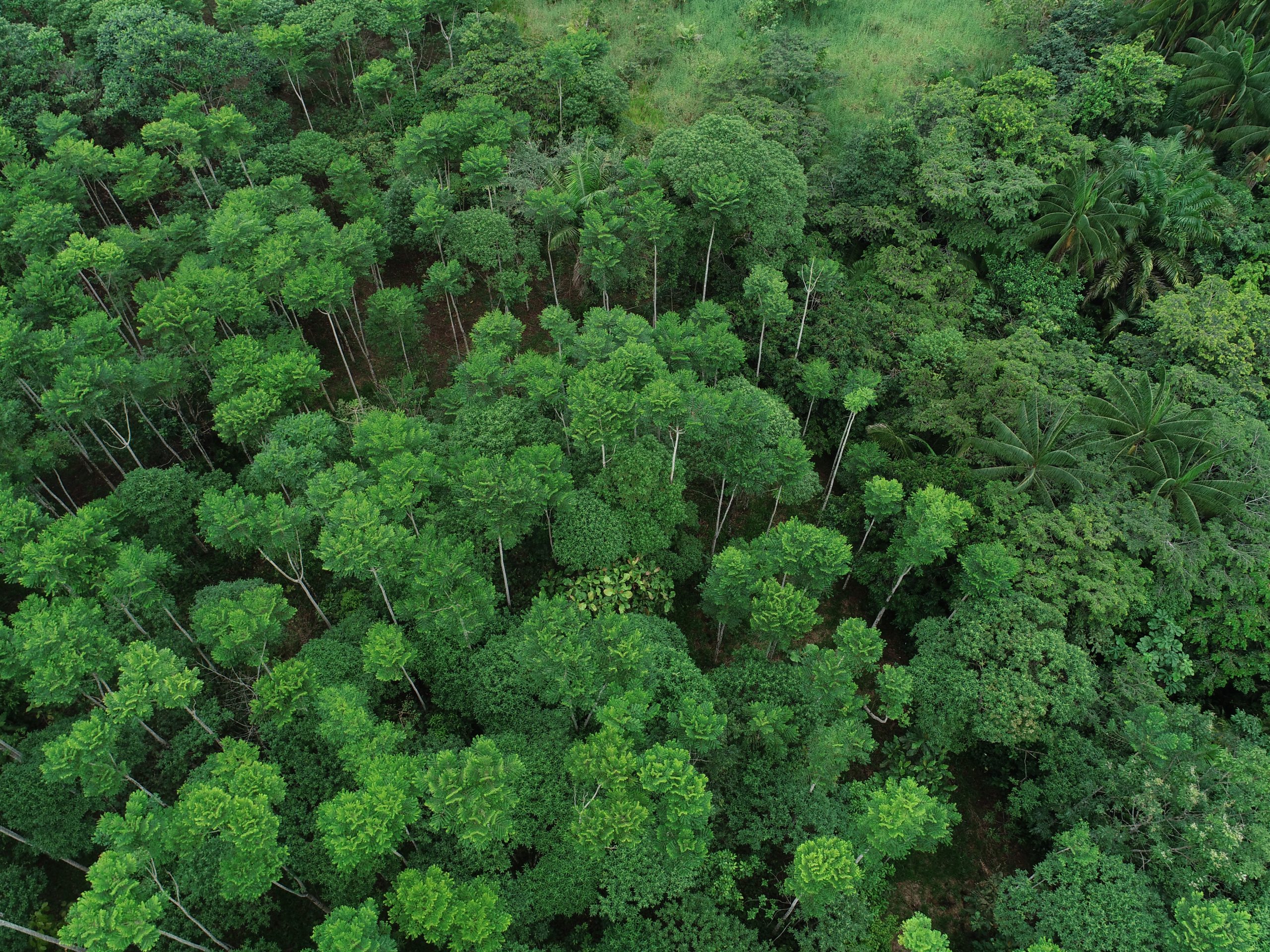 COMUNICADO A LA OPINIÓN PÚBLICA