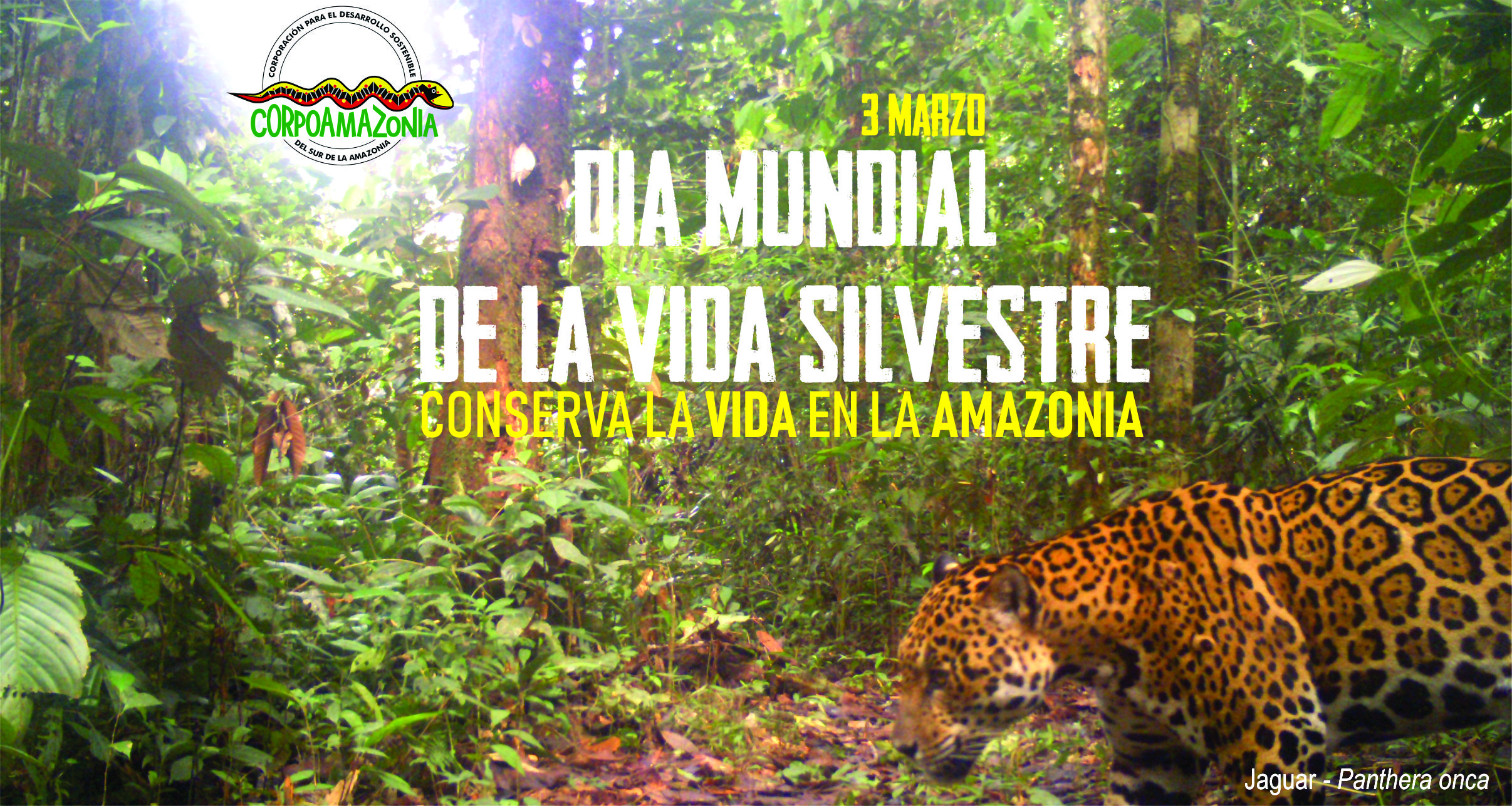 3 DE MARZO: DÍA MUNDIAL DE LA VIDA SILVESTRE
