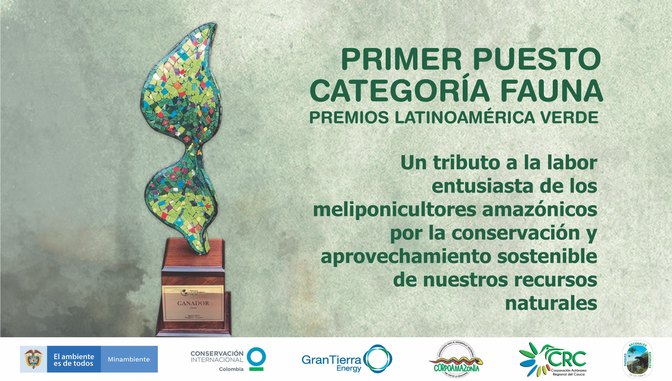 PROYECTO DE MELIPONICULTURA «MIELES DE LA AMAZONÍA»DE LA ALIANZA NATURAMAZONAS, ES RECONOCIDO COMO EL MEJOR PROYECTO EN LA CATEGORÍA DE FAUNA, DE LA SÉPTIMA EDICIÓN DE LOS PREMIOS LATINOAMÉRICA VERDE 2020