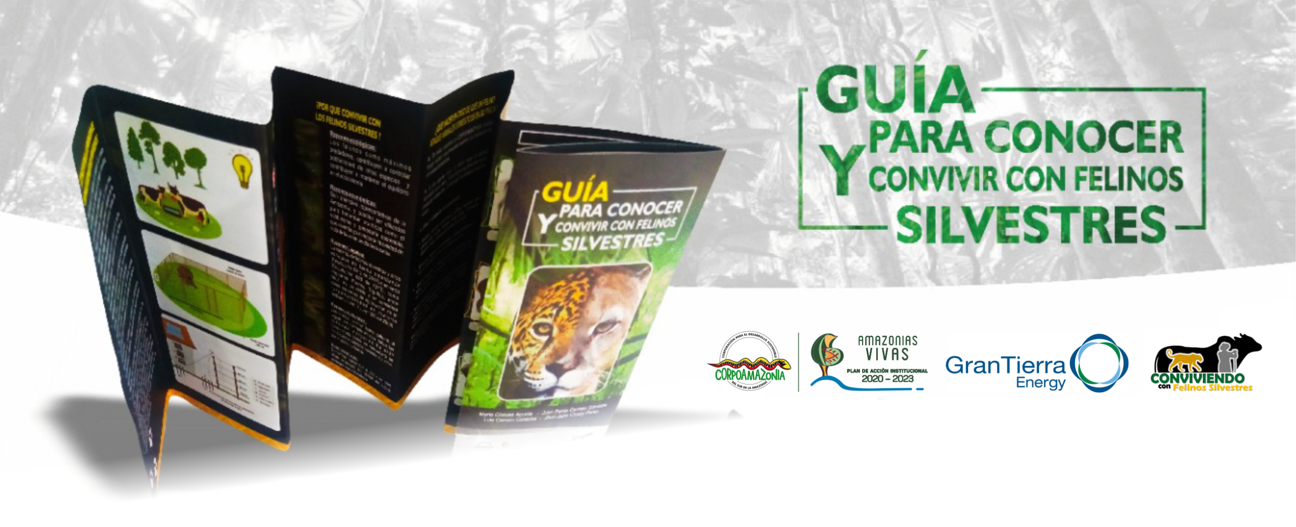 CORPOAMAZONIA PRESENTA LA “GUÍA PARA CONOCER Y CONVIVIR CON FELINOS SILVESTRES”