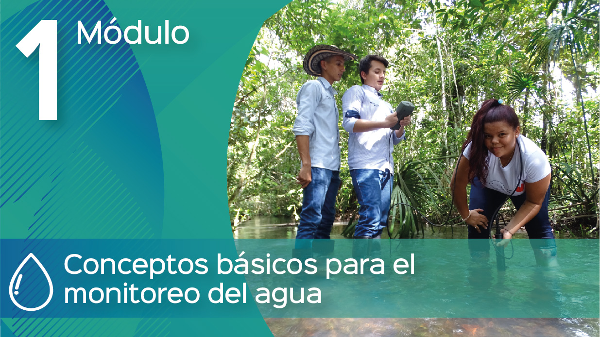 e-learning Desarrollo Económico Local