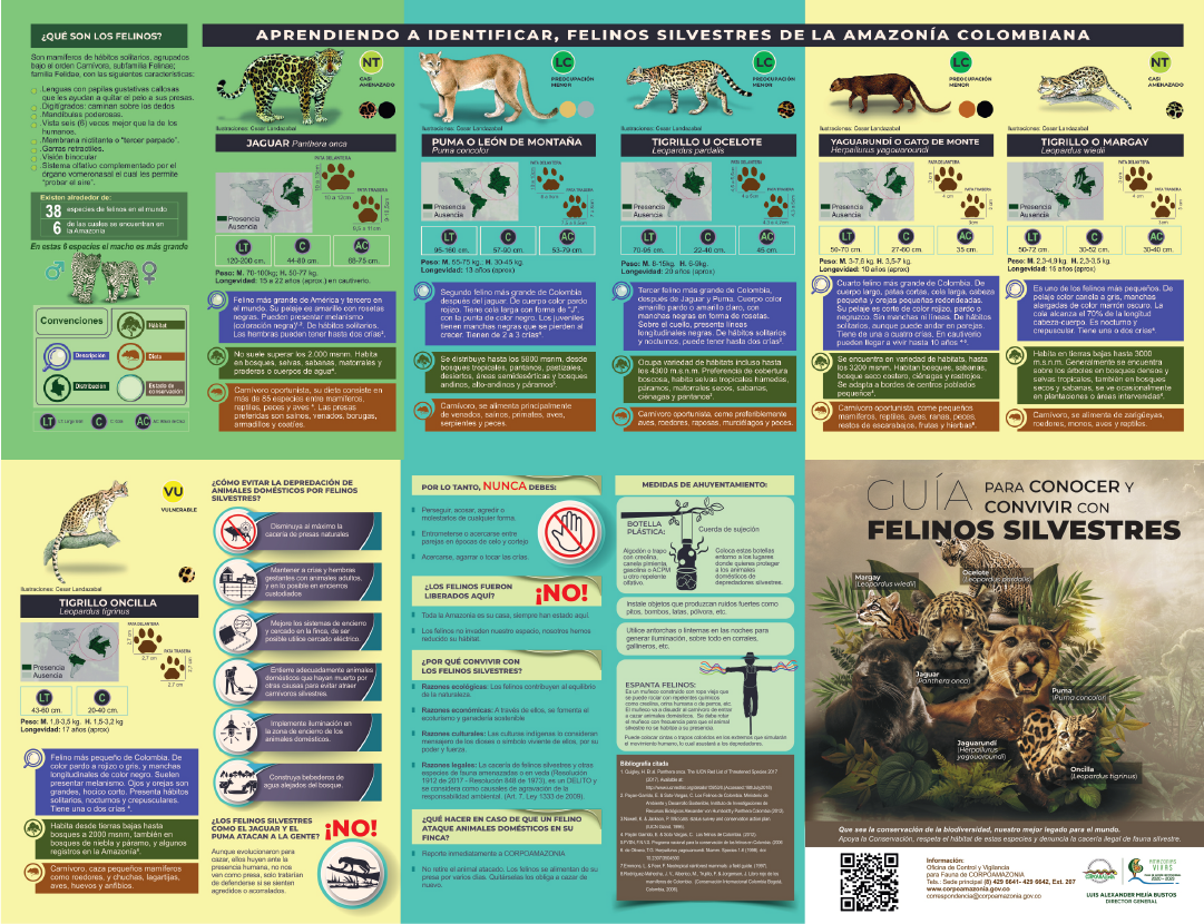 SEGUNDA EDICIÓN DE LA GUIA PARA CONOCER Y CONVIVIR CON FELINOS SILVESTRES
