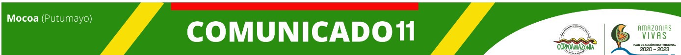 COMUNICADO 11