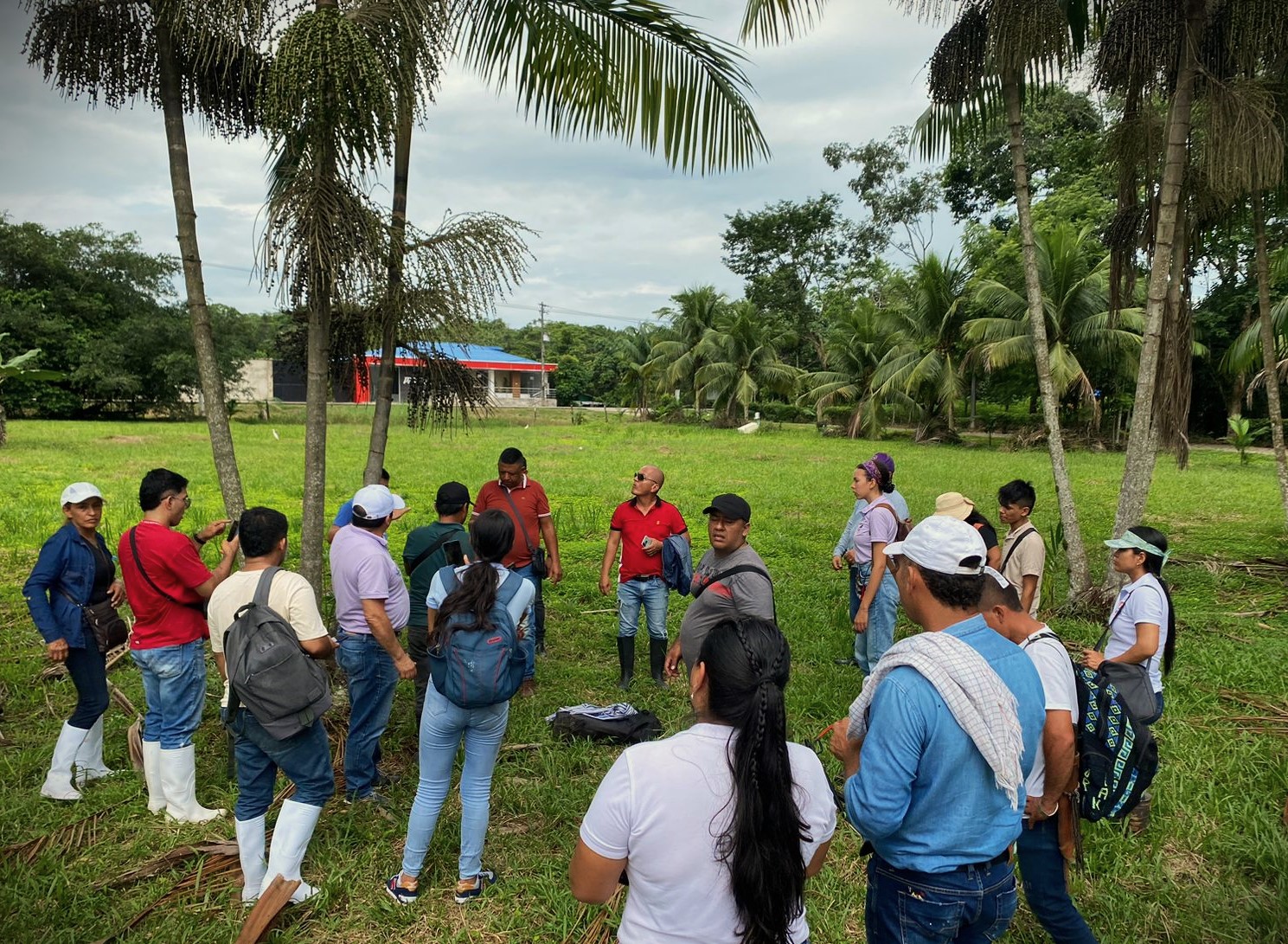 Explorando la vanguardia tecnológica en la producción de Asaí