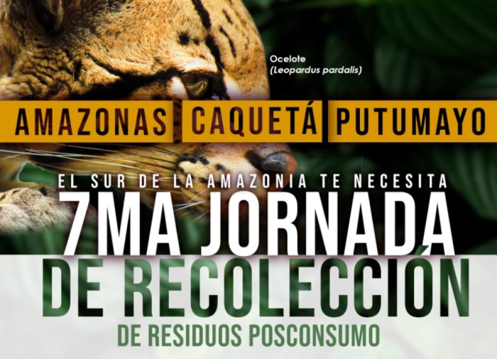 Séptima Jornada Posconsumo en Amazonas, Caquetá y Putumayo: un llamado a la acción ambiental
