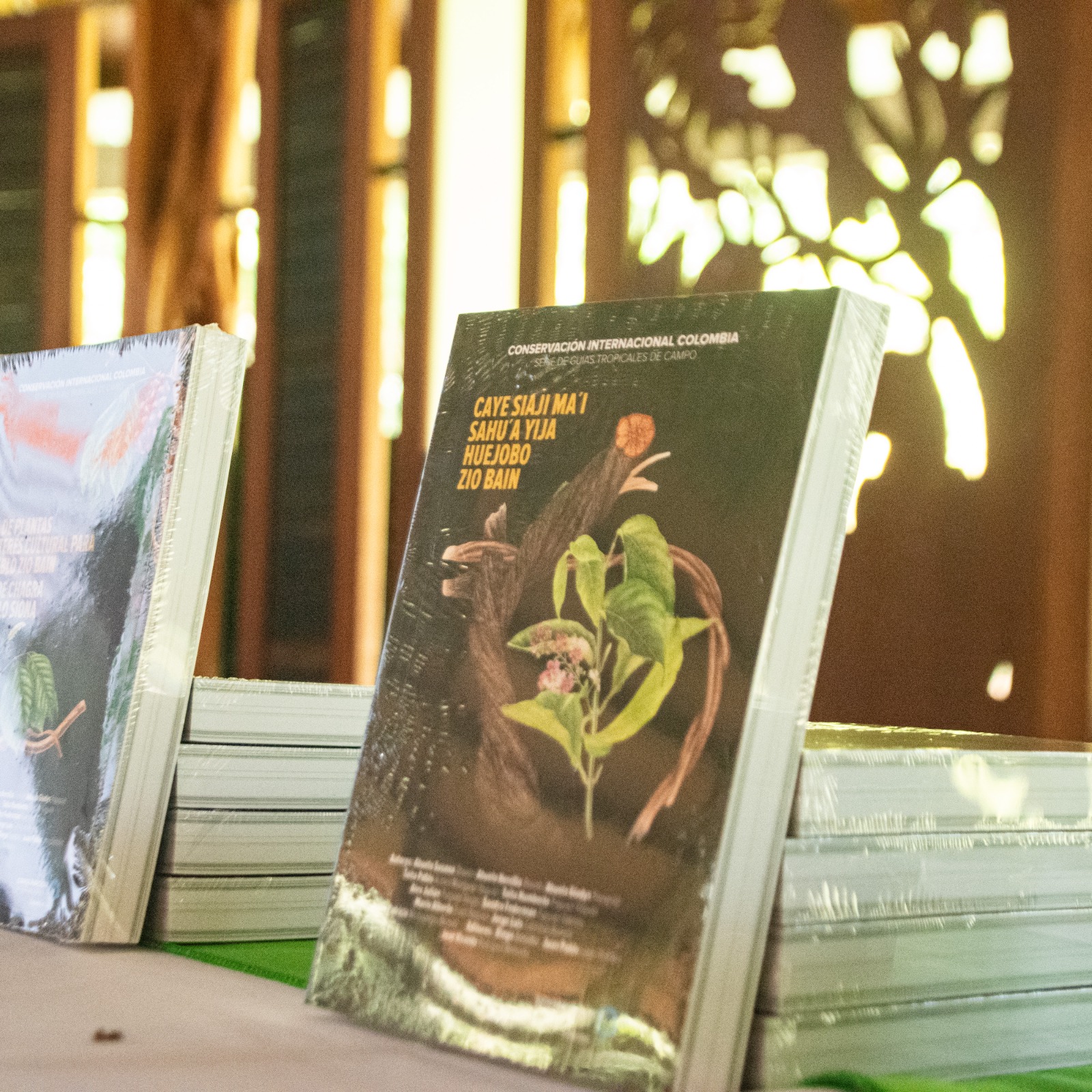 Lanzamiento de la Guía de Plantas de Interés Cultural para el Pueblo Zio Bain